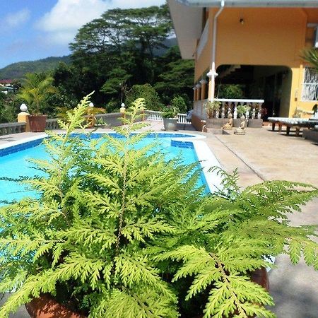 Albizia Lodge Green Estate Pointe Au Sel Εξωτερικό φωτογραφία